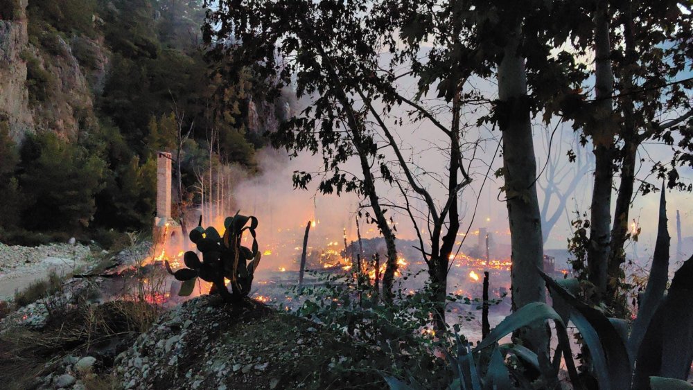 Yeryüzünün en iyi hosteli seçilmişti: Olimpos'taki ünlü ağaç evleri ikinci kez yandı