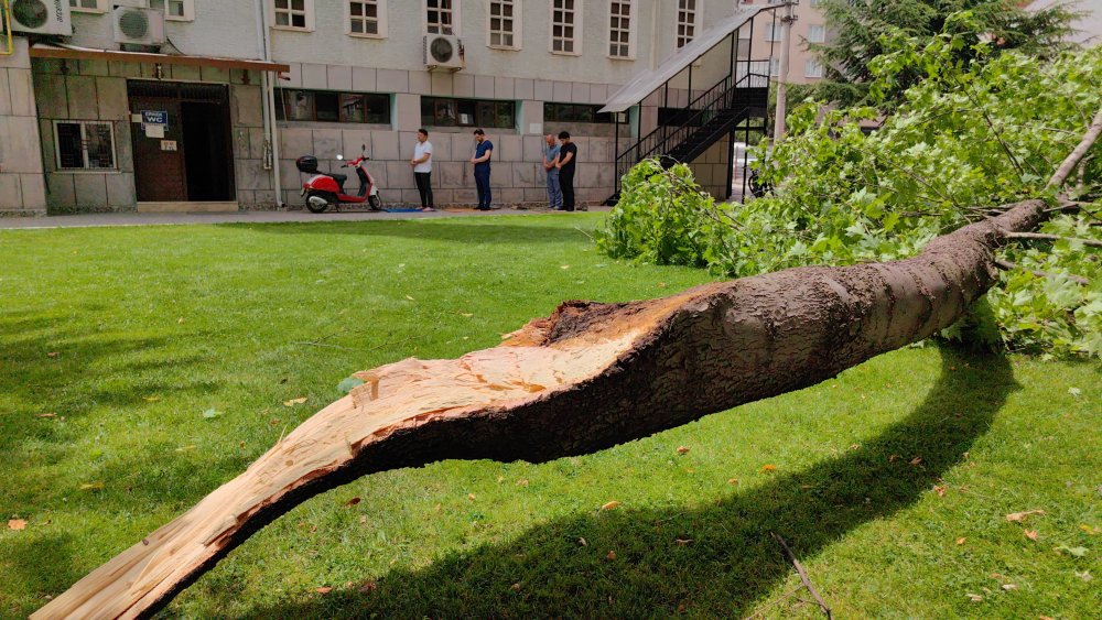 Bursa'da lodos etkili oldu: Bir kişi kırılan ağaç dalının altında kaldı