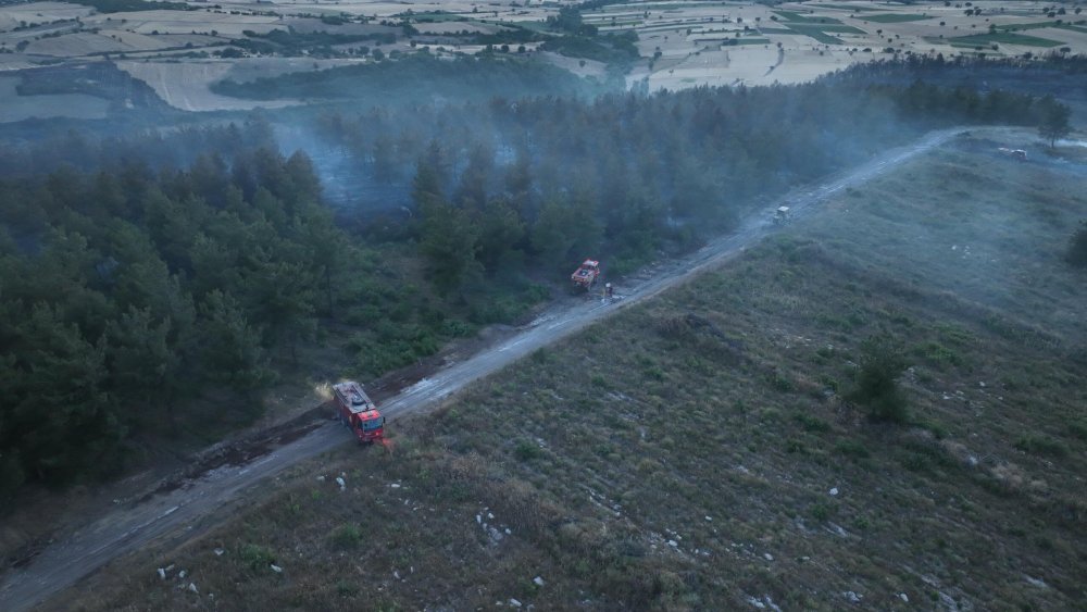 Balıkesir'deki yangının bilançosu açıklandı