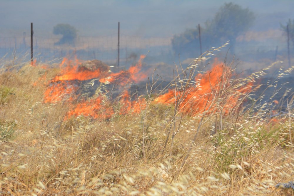 Balıkesir’in eski çöplük alanında yangın paniği! Yangına havadan müdahale başladı