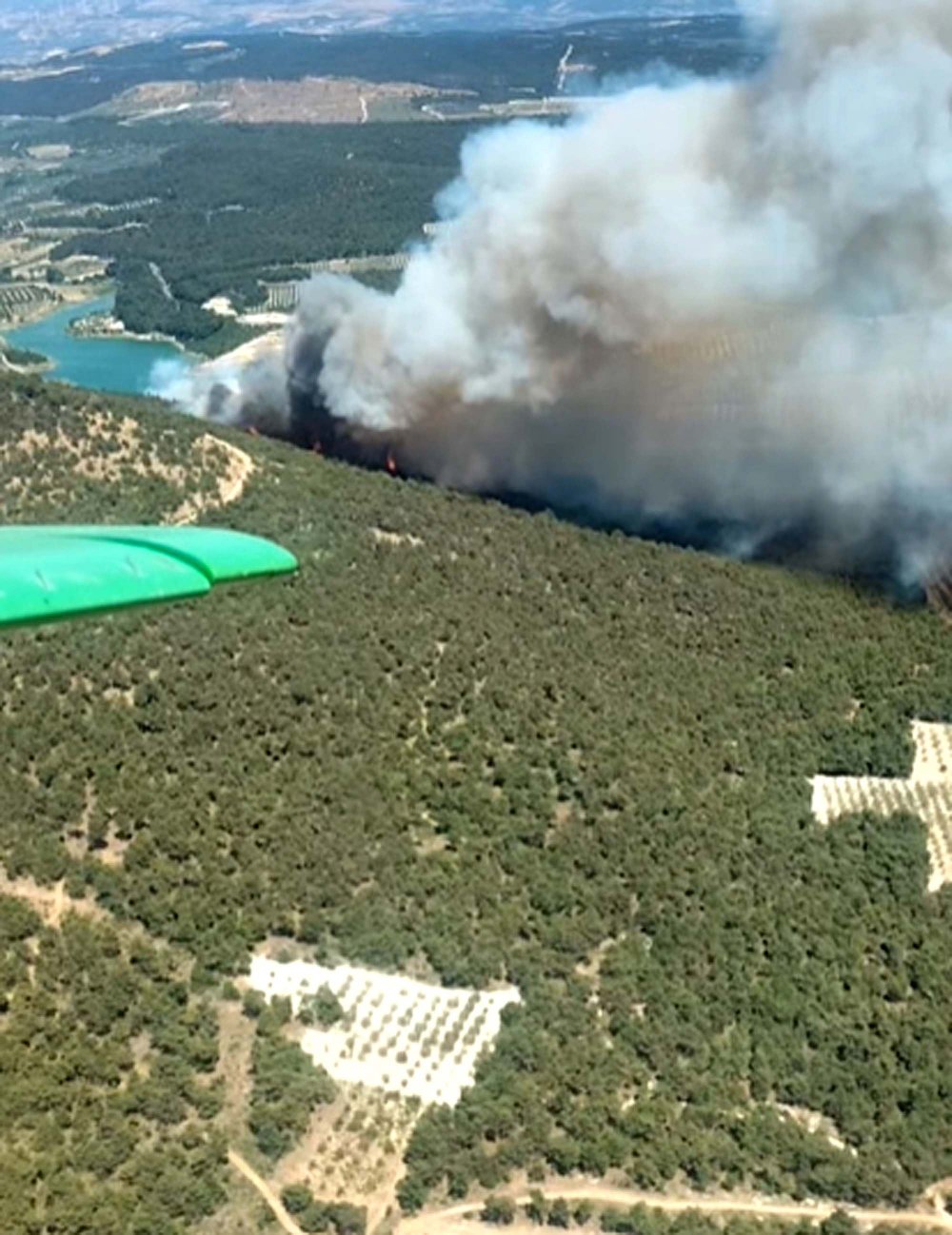 Manisa'da orman yangını çıktı! Yangına müdahale sürüyor
