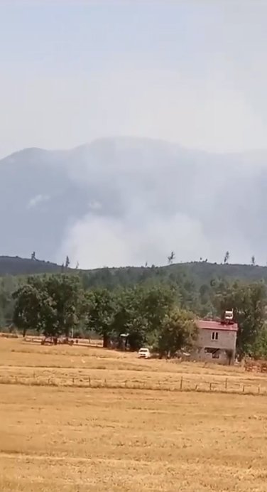 Adana'da anız yangını ormana sıçradı!