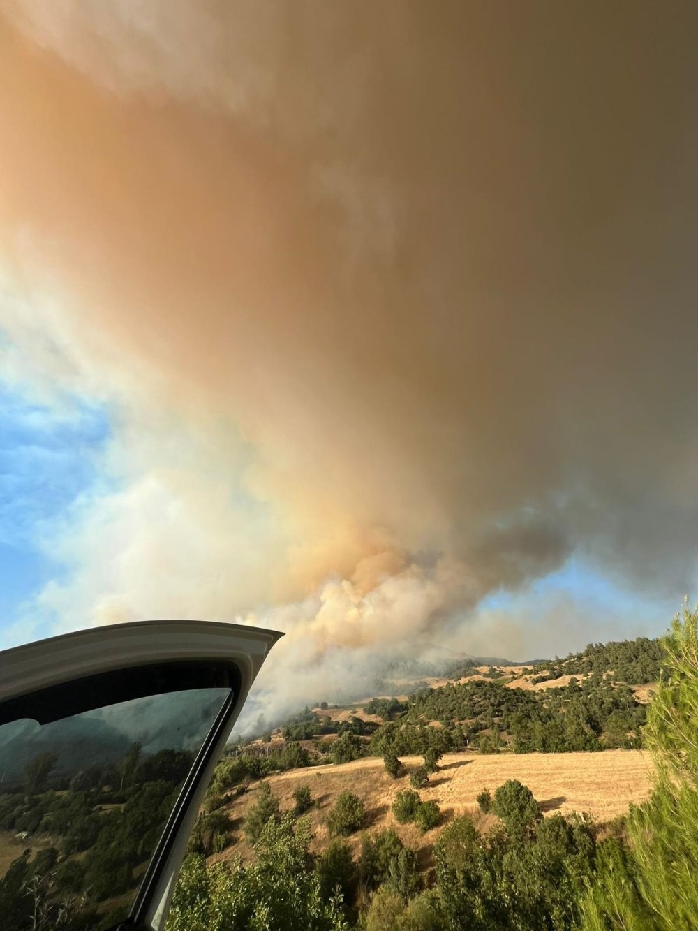 Bursa'da orman yangını çıktı! Havadan söndürme çalışmaları başlatıldı
