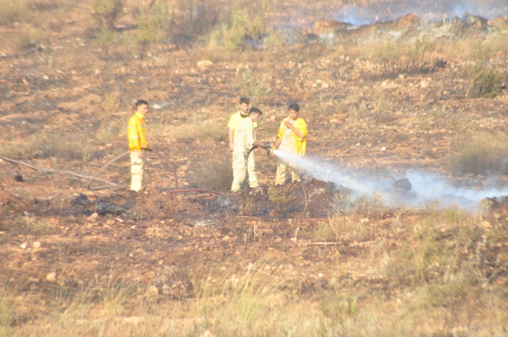Manisa’daki orman yangını 5 saatin sonunda kontrol altına alındı