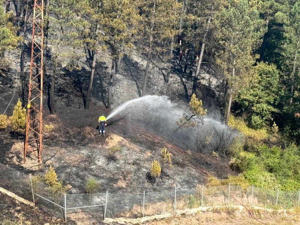 Çekmeköy'de ormanlık alanda çıkan yangın söndürüldü