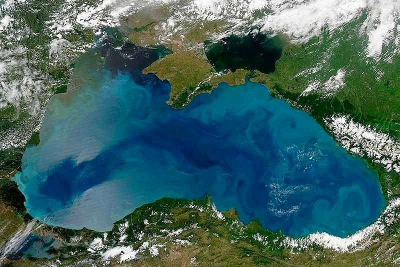 Uzmanından korkutan uyarı: 'Sürekli ısınan Karadeniz ölüyor'