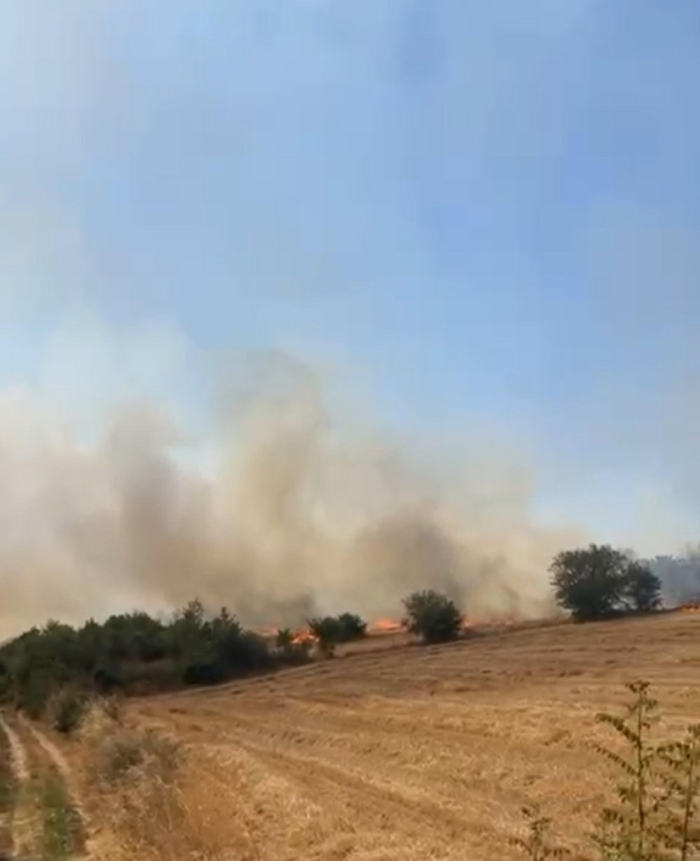 Edirne Uzunköprü'de orman yangını