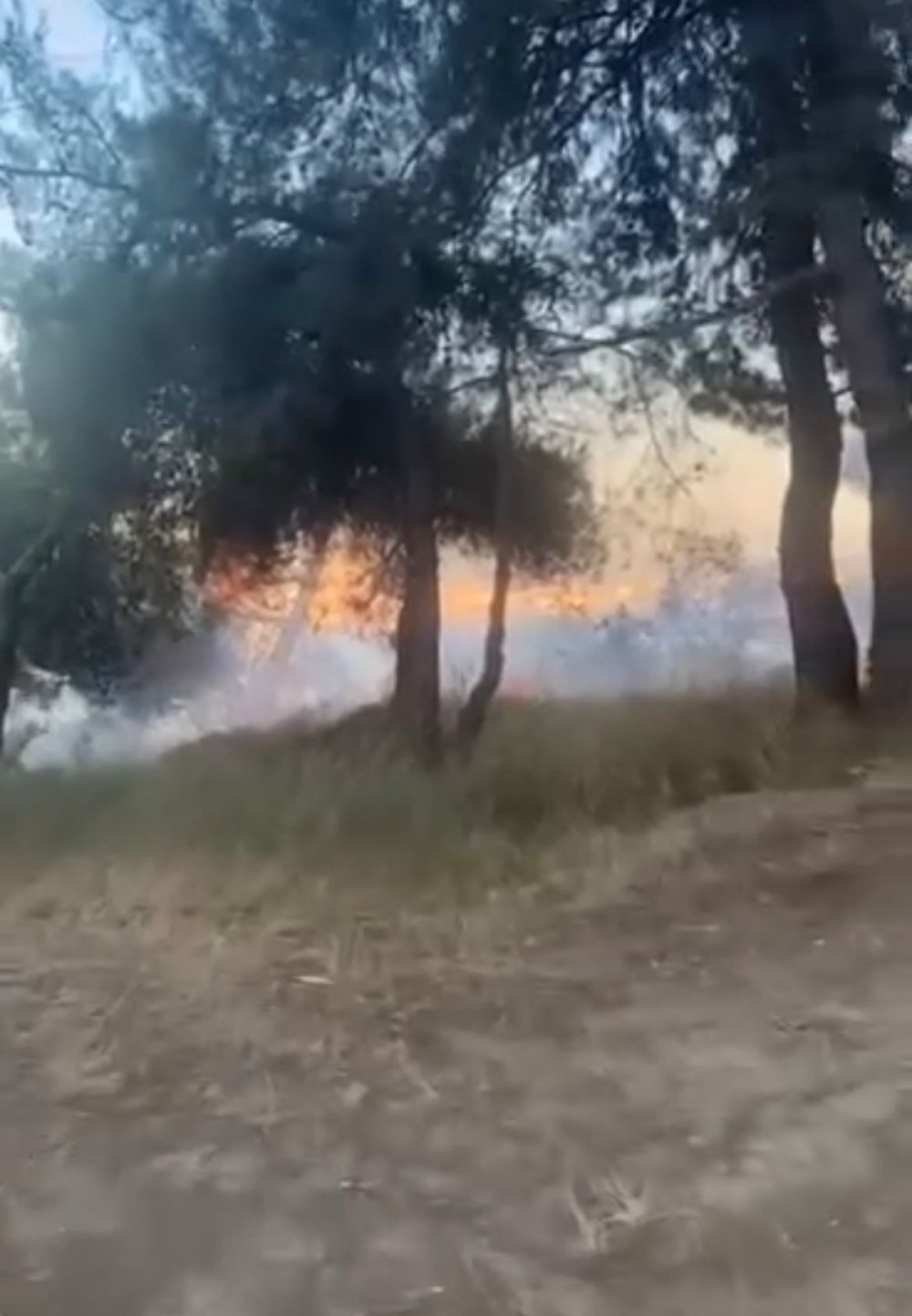 Bursa'da piknik alanında yangın