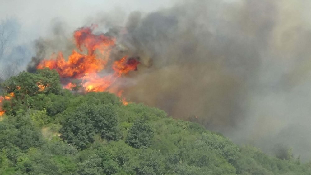 Çanakkale'deki orman yangınında 2'nci gün