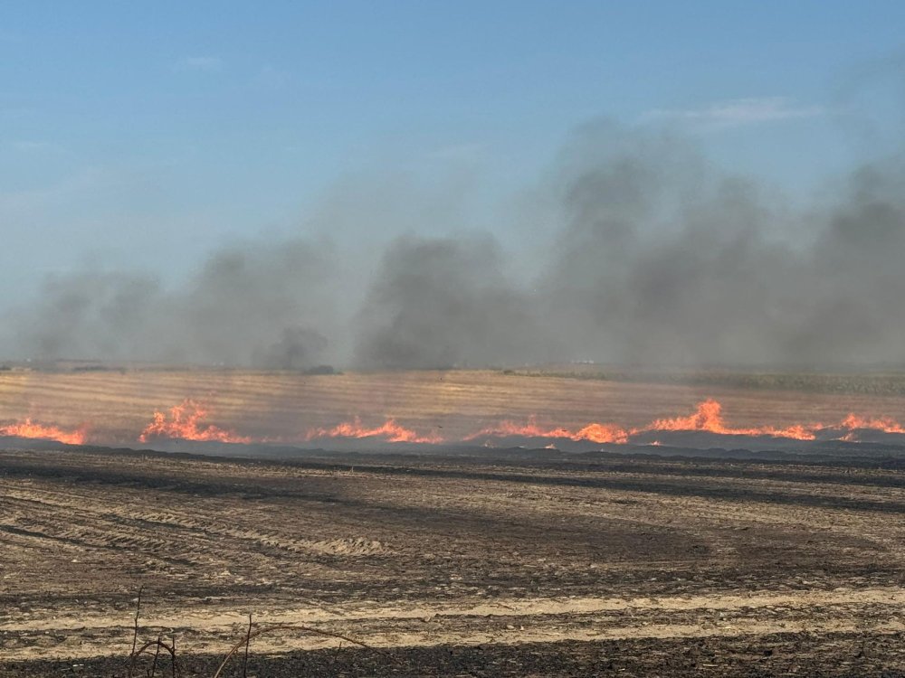 Tekirdağ'da iki ayrı anız yangını! 500 hektarlık alan küle döndü