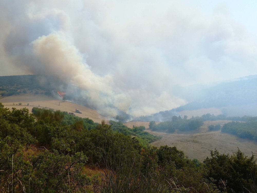 Balıkesir'de ormana sıçrayan yangın rüzgarın etkisiyle büyüyor