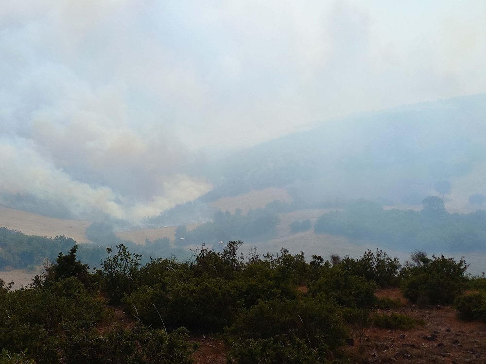 Balıkesir'de ormana sıçrayan yangın rüzgarın etkisiyle büyüyor