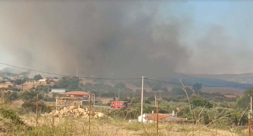 İzmir Foça'da orman yangını çıktı!
