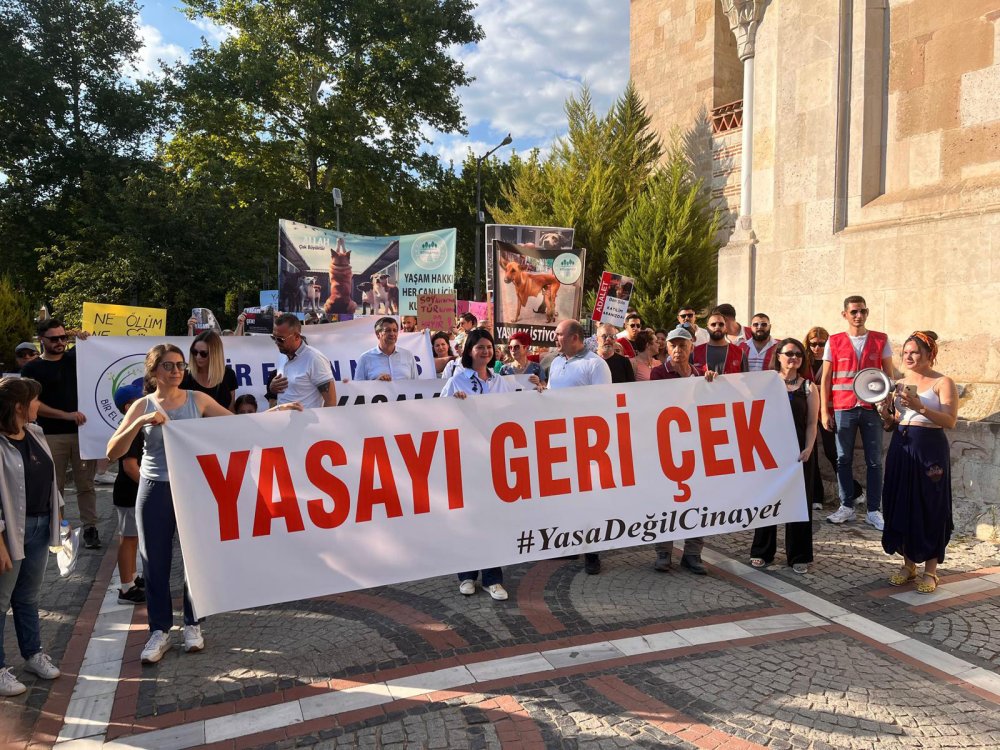 Edirne'de hayvanseverler yürüyüş ve oturma eylemi düzenledi