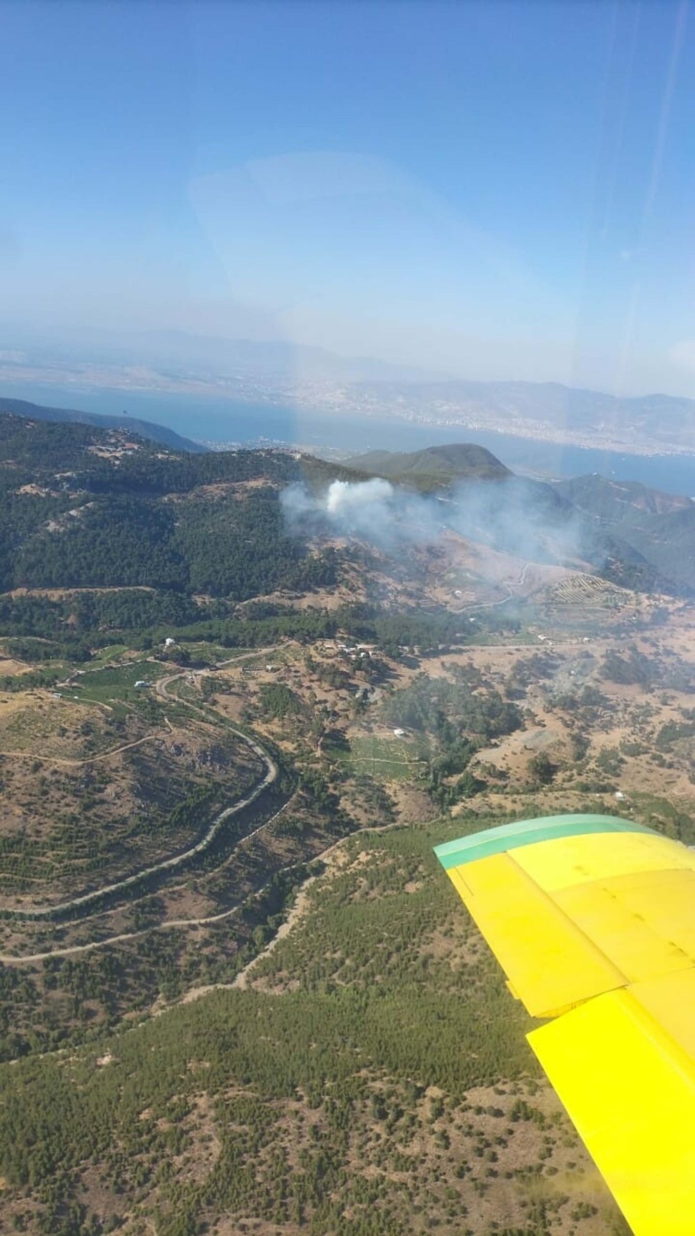 İzmir’in Karabağlar ilçesinde orman yangını