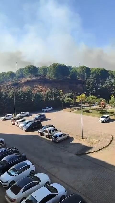 Yalova'da iki ayrı noktada orman yangını çıktı