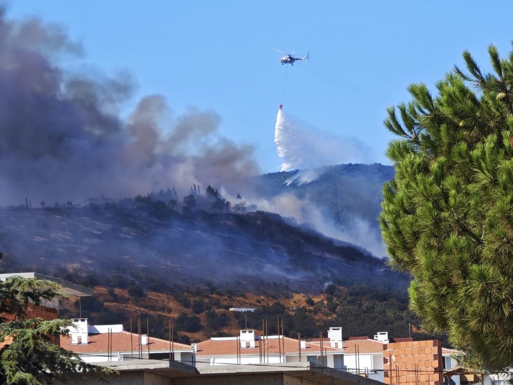 Balıkesir Erdek'te orman yangını