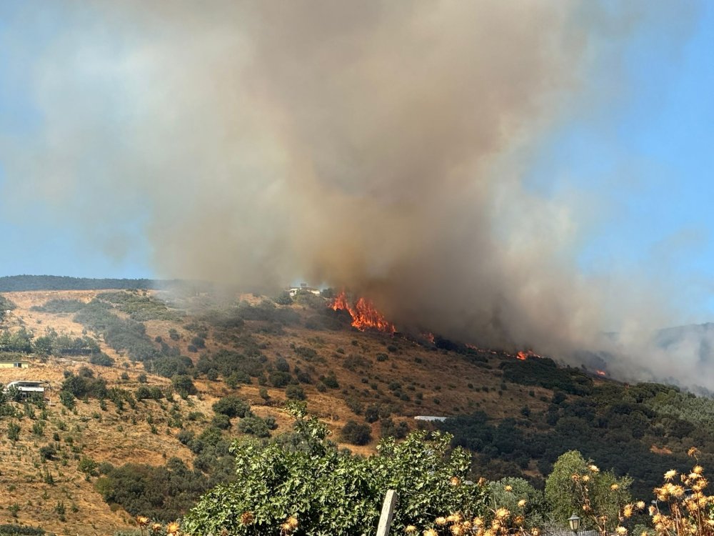 Balıkesir Erdek'te orman yangını