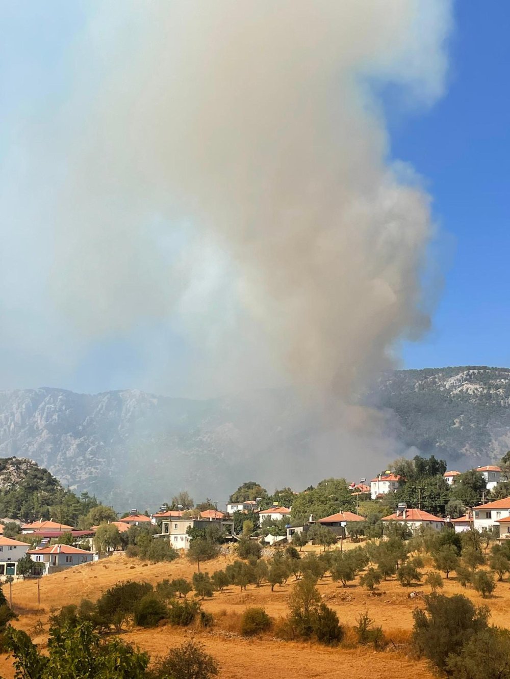 Muğla'da orman yangını, ekipler söndürme çalışmalarını başlattı