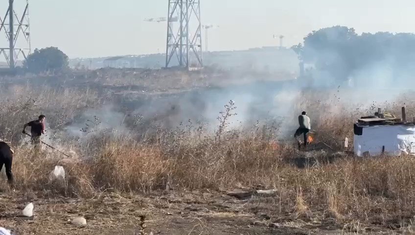 Avcılar'da otluk alanda yangın! Güvercin kulübesine ulaşmadan söndürüldü