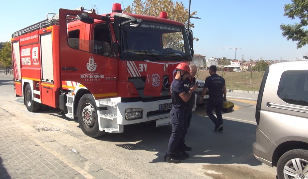 Silivri'de yavru kedi operasyonu