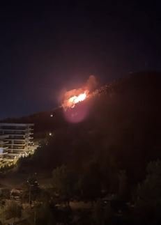 İzmir Gaziemir'de çıkan orman yangını kontrol altına alındı